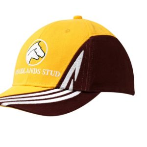 A yellow and brown cap featuring an embroidered design on the crown and peak, with a logo and fabric insert.