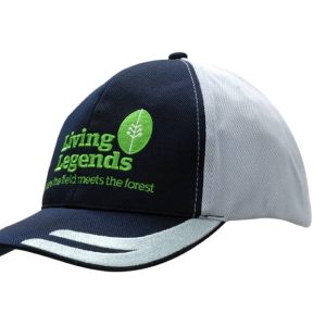 A navy and grey cap featuring an embroidered design on the peak and a logo.
