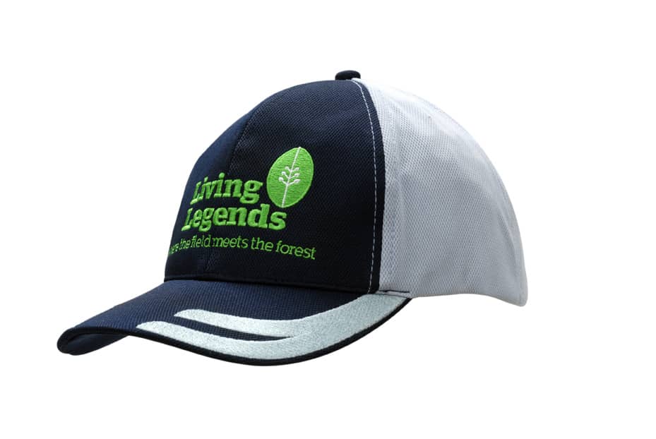 A navy and grey cap featuring an embroidered design on the peak and a logo.