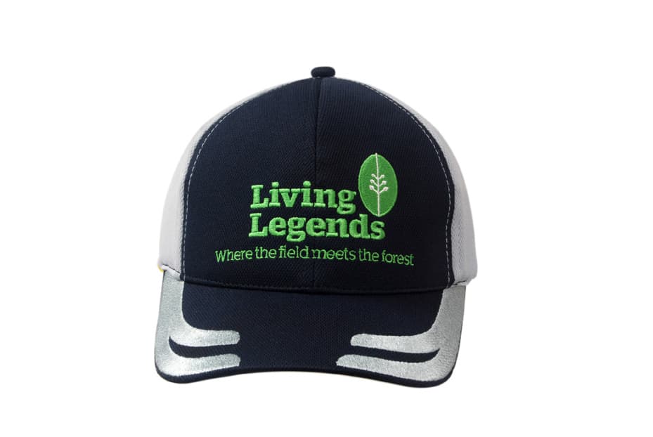 A navy and grey cap featuring an embroidered design on the peak and a logo.