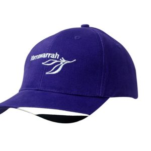 A purple brushed heavy cotton cap with fabric inserts on the peak, featuring a logo on the front.