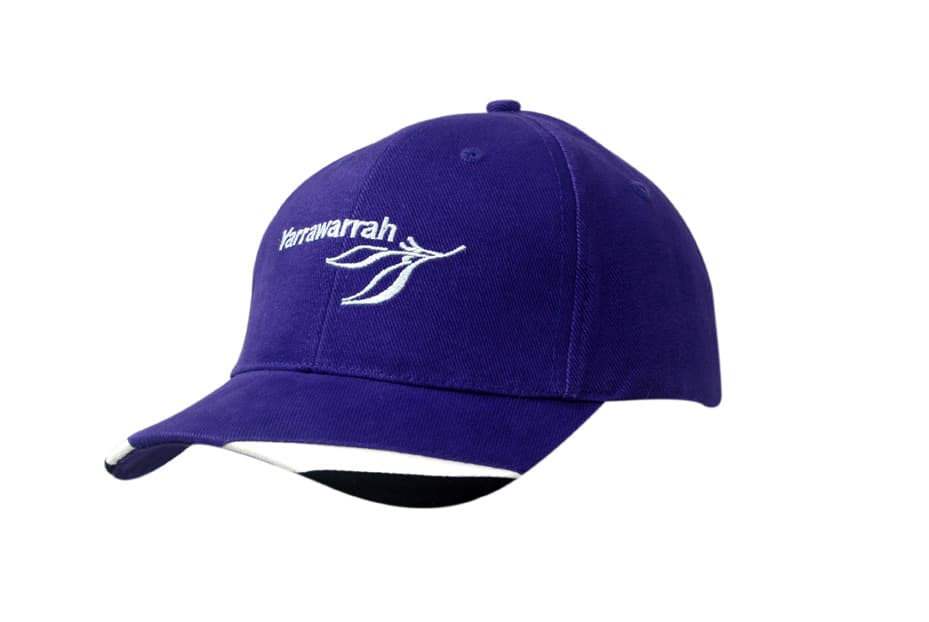 A purple brushed heavy cotton cap with fabric inserts on the peak, featuring a logo on the front.