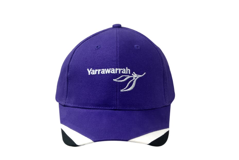 A purple brushed cotton cap with fabric inserts on the peak and a logo on the front.