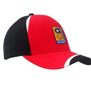 A red and black cap with fabric inserts on the crown and peak, featuring a logo on the front.