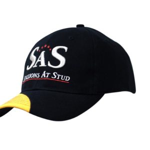 A navy blue cap with a yellow peak, featuring a logo on the front.
