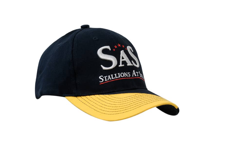 A navy blue cap with a yellow peak, featuring embroidered text and a logo.