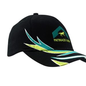 Brushed heavy cotton cap in black with crown and peak flash embroidery, featuring a logo.