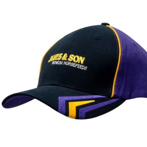 A black and purple cap featuring crown piping and peak embroidery, with a logo on the front.