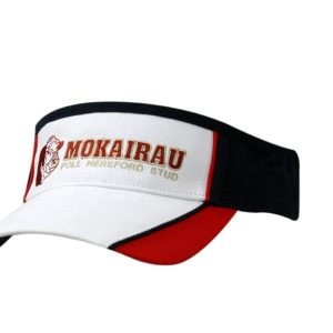 A tri-colour visor featuring black, white, and red panels, complete with a logo on the front.