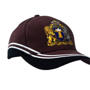 Brushed heavy cotton cap in brown with a logo patch on the crown and peak, featuring black and white accents.