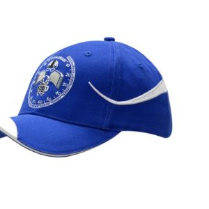 A blue cap with embroidered design on the crown and peak, featuring fabric inserts and a logo.