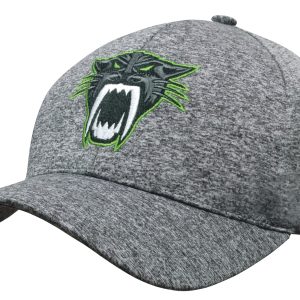 A grey cap featuring an embroidered panther logo in green. The cap has a rounded visor and a structured fit.
