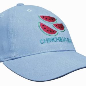 A light blue youth cap featuring embroidered watermelon graphics and a logo. Made from brushed heavy cotton.