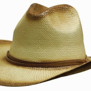 A straw cowboy hat in a tan colour with a brown band around the base and a curved brim.