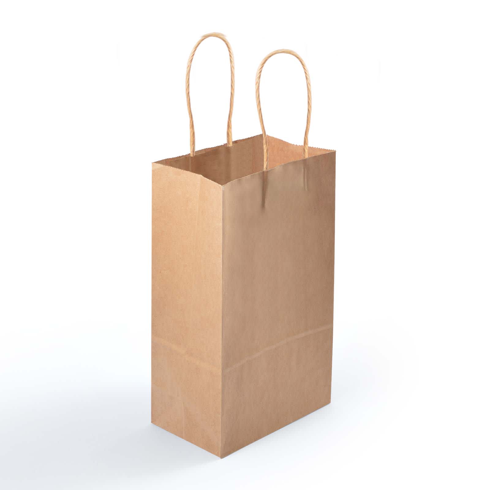 A small brown paper bag with twisted handles, designed for carrying items.