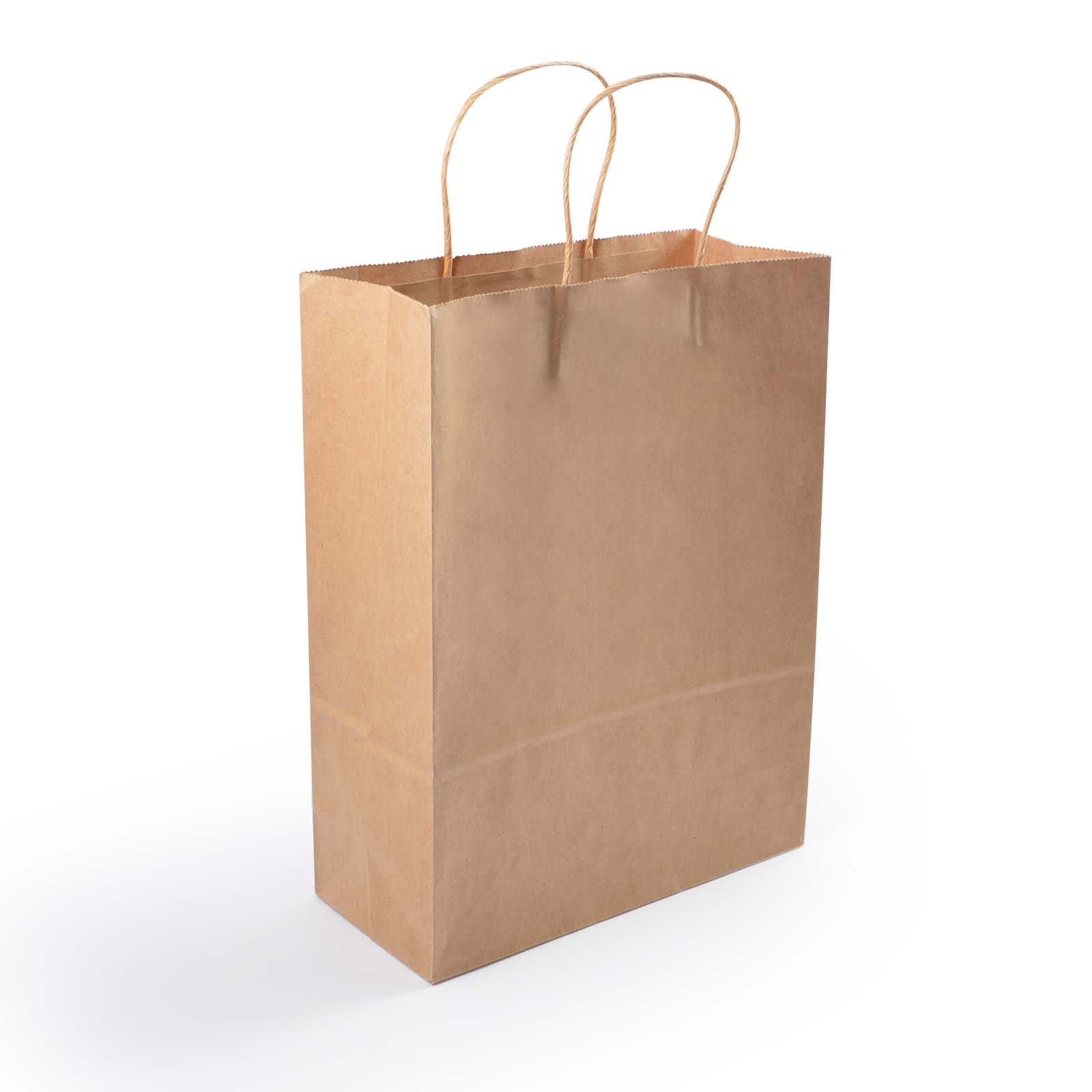 A medium-sized brown paper bag with twisted handles.