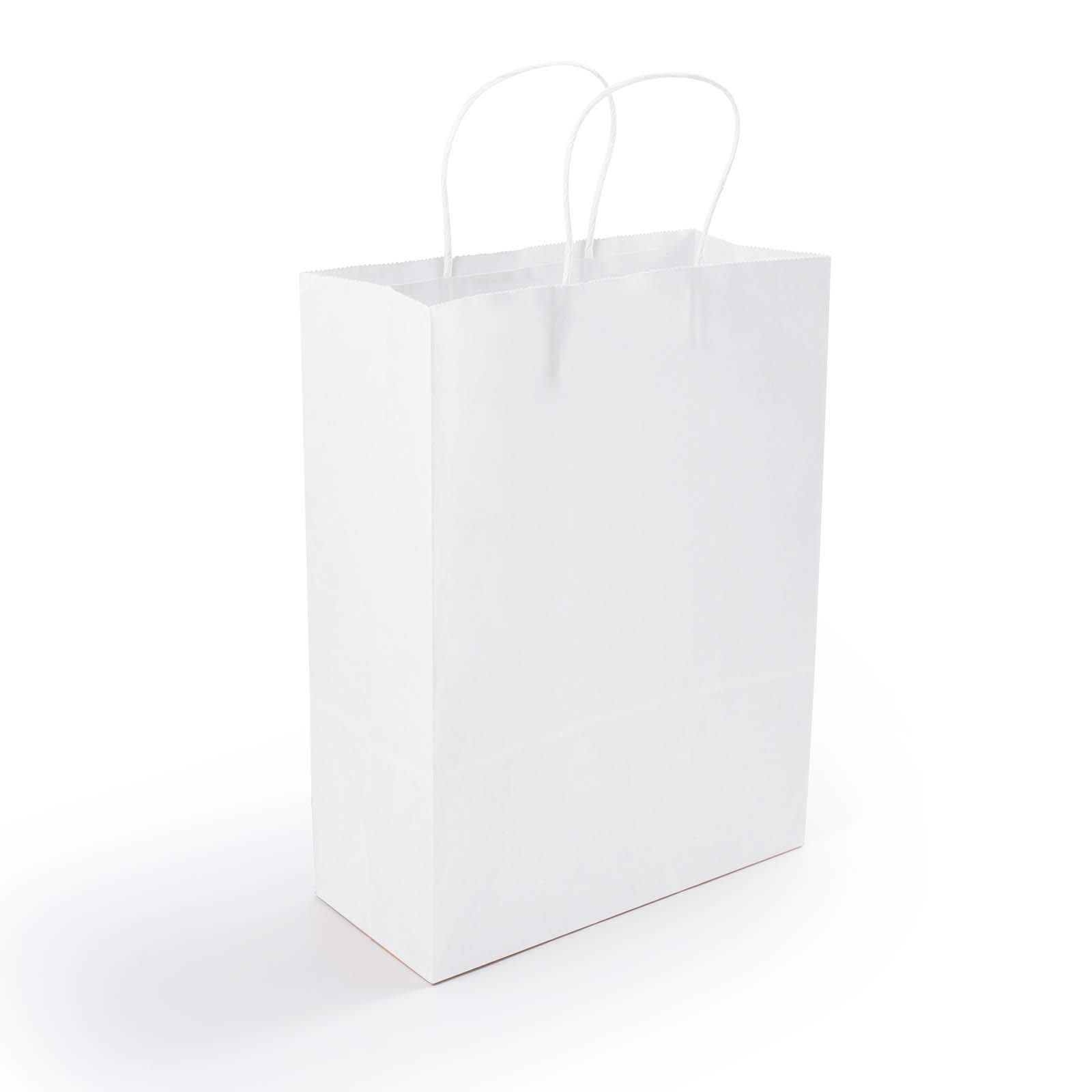 A medium-sized white paper bag with twisted handles.