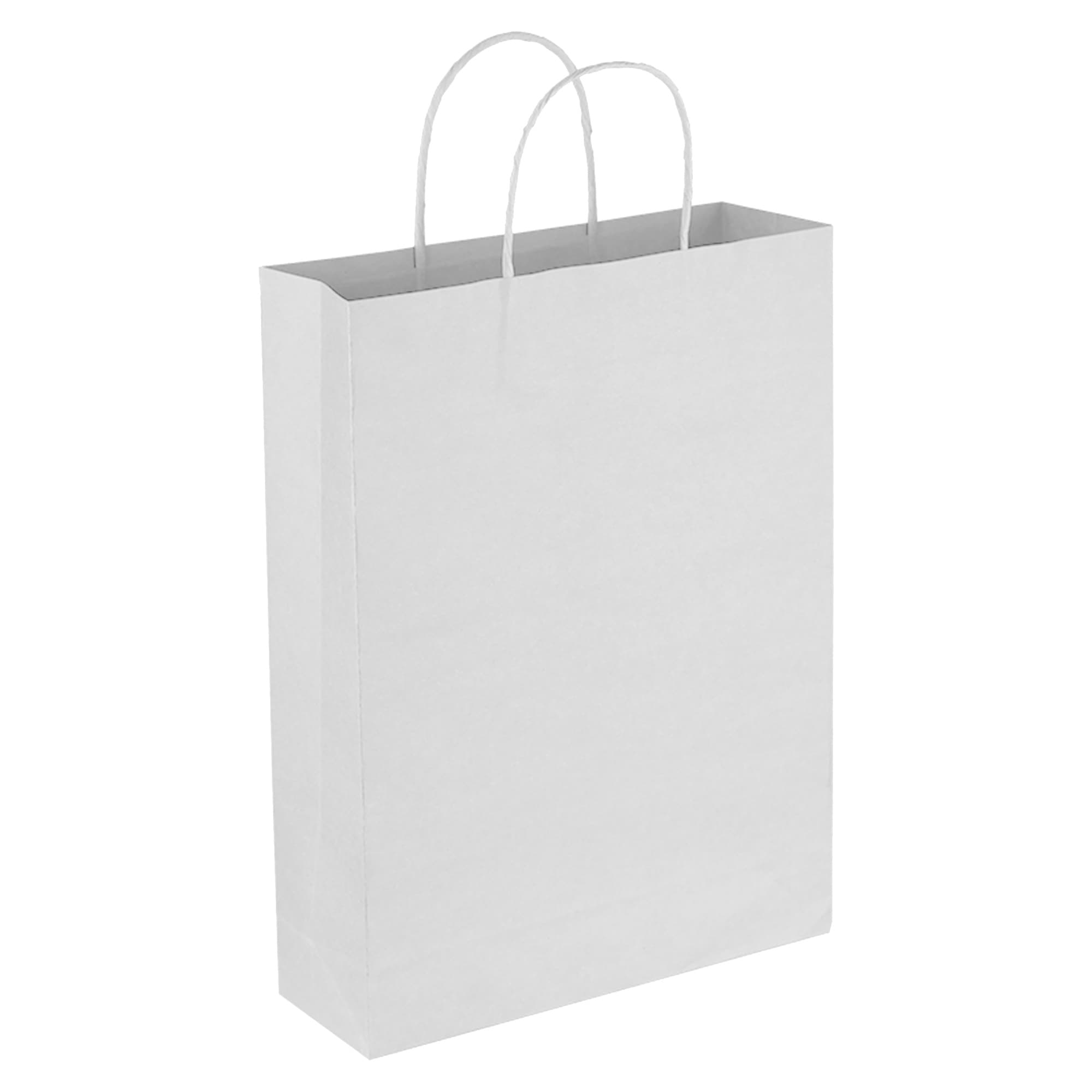 A plain white paper bag with two top handles and no visible branding or logos.