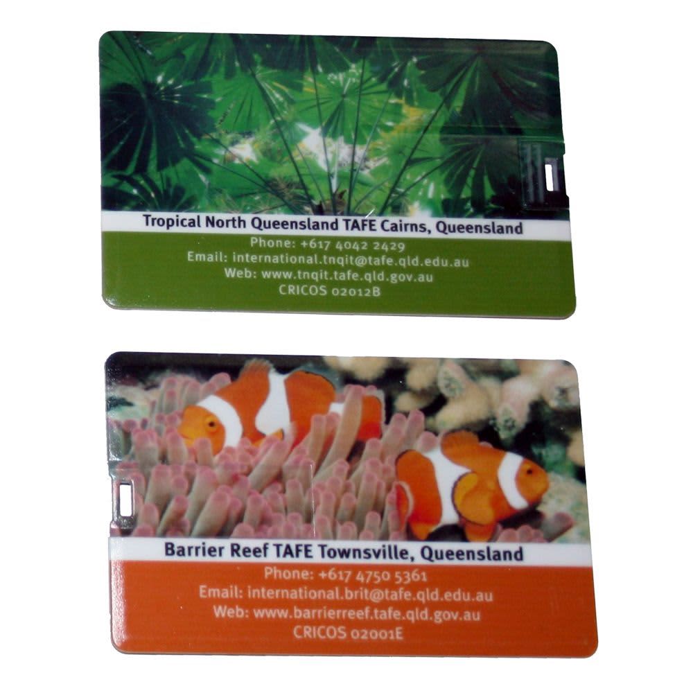 Two credit card-sized USB flash drives featuring tropical designs in green and orange, with a logo on each.