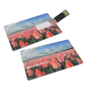 A credit card-sized USB flash drive featuring a floral design with pink tulips and a black connector.
