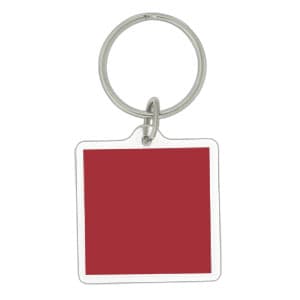 A square acrylic keychain featuring a green chameleon design and logo with shades of green. It has a metal ring attachment.