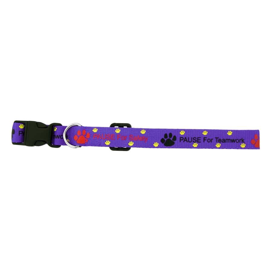 A purple dog collar featuring paw prints and text, with a black buckle and metal D-ring.