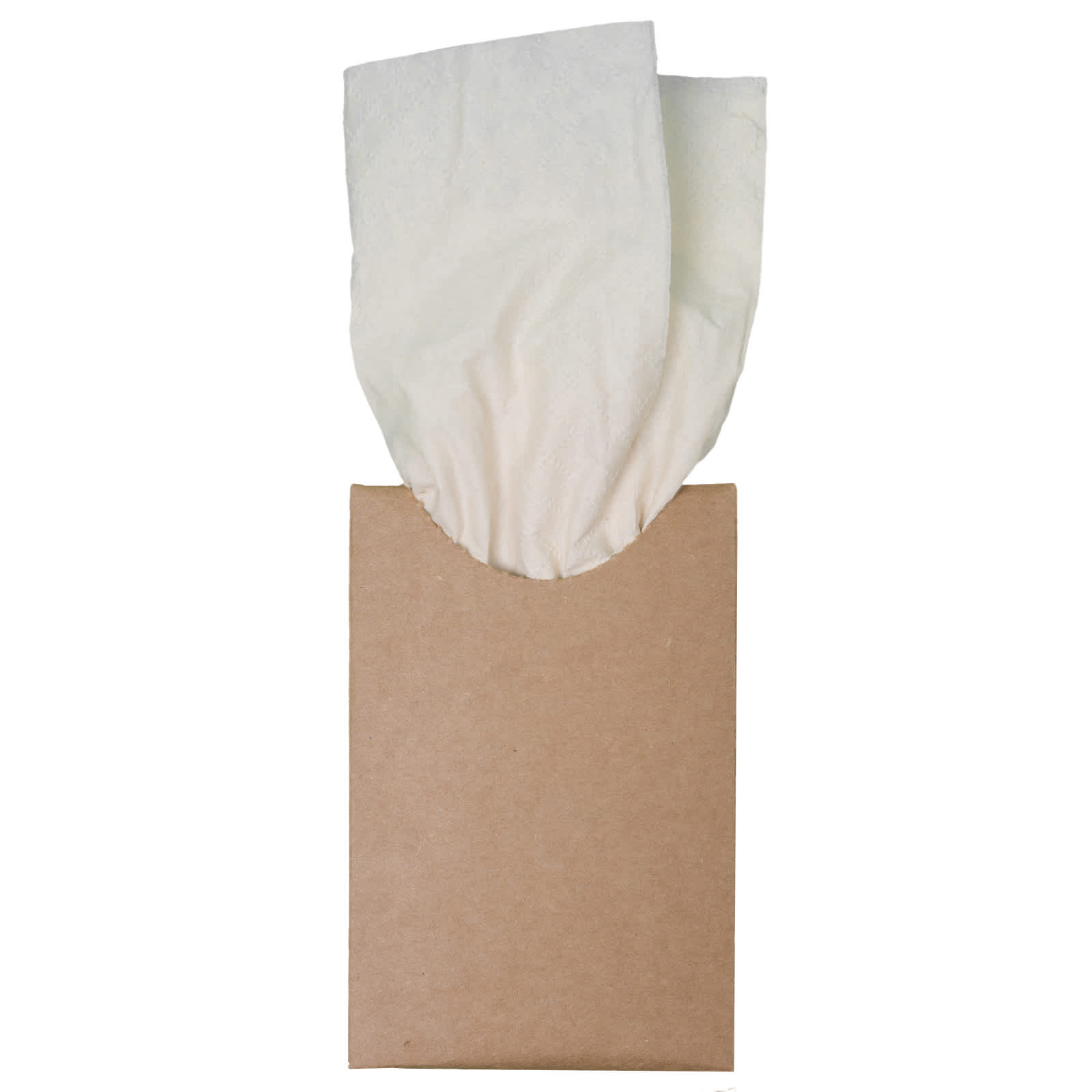 A box of Bamboo Tissues with two tissues partially pulled out from the top. The box has a simple brown exterior.