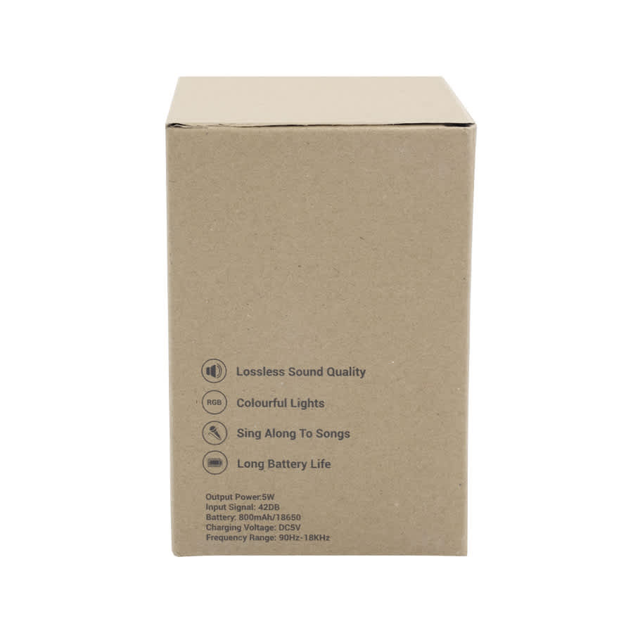 A brown box containing the Caroline Portable Karaoke Machine, featuring icons for sound quality, lights, and battery life.